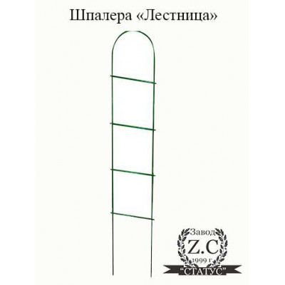 Шпалера "Лестница"