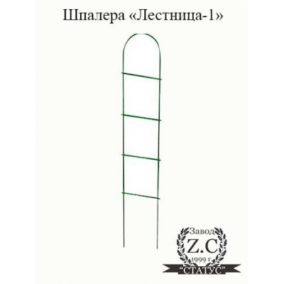 Шпалера "Лестница-1"